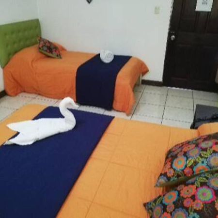 Best Hostel San Jose Bagian luar foto