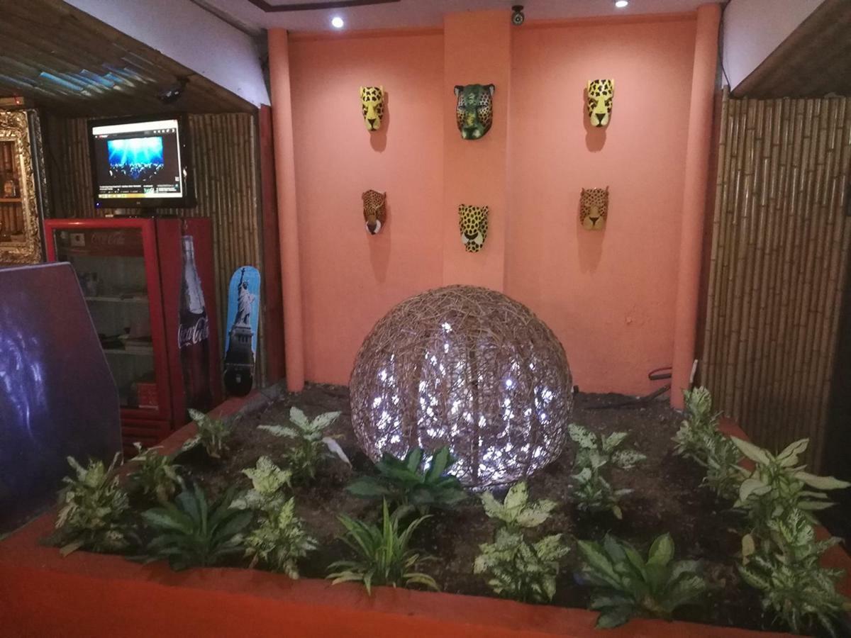 Best Hostel San Jose Bagian luar foto